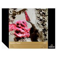 Склейка для акрилу Rembrandt 30х40 см 400г/м2 10 аркушів, Royal Talens