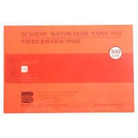 Склейка Academy 100% хлопок 300г 26х18см HP 20л, Baohong