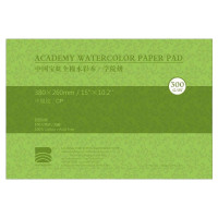 Склейка Academy 100% хлопок 300г 38х26см CP 20л, Baohong  
