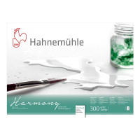 Альбом для акварели A4 Harmony 300г 12л HP, Hahnemuhle