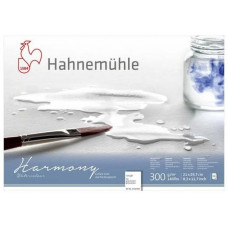 Альбом для акварелі A4 Harmony 300г 12арк Rough, Hahnemuhle