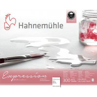 Альбом для акварели 40х50см Expression 300г 20л 100% хлопок CP
