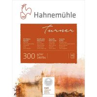 Склейка акварельна 100% бавовна Hahnemuhle Turner 300 г/м² CP, 24 х 32 см, 10 аркушів Код: 10628135