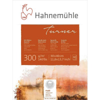 Склейка акварельна 100% бавовна Hahnemuhle Turner 300 г/м² CP, 30 х 40 см, 10 аркушів Код: 10628136