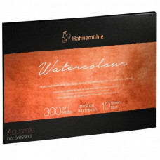 Склейка для акварелі 100% бавовна Hahnemuhle The Collection 300 г / м² CP, 24 х 32 см, 10 аркушів