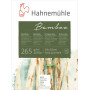 Папір Hahnemuhle Bamboo Mixed Media 265 г/м2, 50x65см, лист