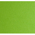 Папір FABRIANO для дизайну COLOR B2 №30 Салатовий 200г