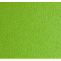 Папір FABRIANO для дизайну COLOR B2 №30 Салатовий 200г