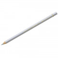 Карандаш цветной Polychromos Холодный серый 2 110231 Faber-Casstell