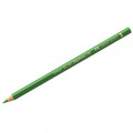 Карандаш цветной Polychromos Перманентный зеленый 110266 Faber-Casstell