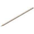 Карандаш цветной Polychromos Теплый серый 2 110271 Faber-Casstell