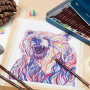 Набір кольорових олівців Derwent Coloursoft 24 кол. у металевій коробці