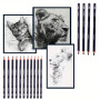 Набір для графіки Sketch Painting 23 предмети, Maries