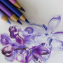 Набір 102 кольорових олівців Polychromos у пеналі Faber-Castell, 210061