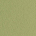 Бумага для пастели Fabriano Tiziano A3 160г/м2, Оливковый №14