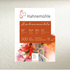 Склейка акварельна Hahnemuhle 300г/м2 Cold pressed 24 х 32 см, 10 аркушів