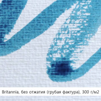 Папір акварельний Hahnemuhle Britannia 300 г/м² rough, 50 х 65 см, лист