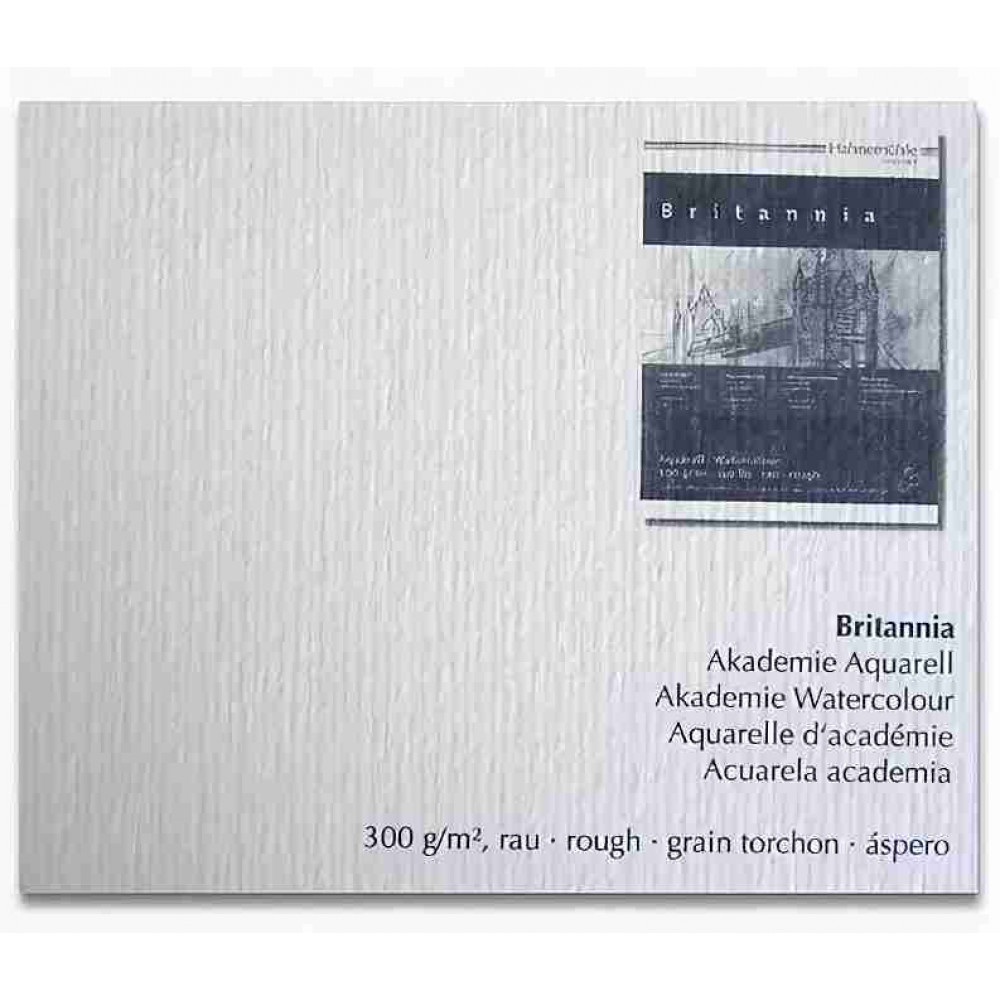 Папір акварельний Hahnemuhle Britannia 300 г/м² rough, 50 х 65 см, лист